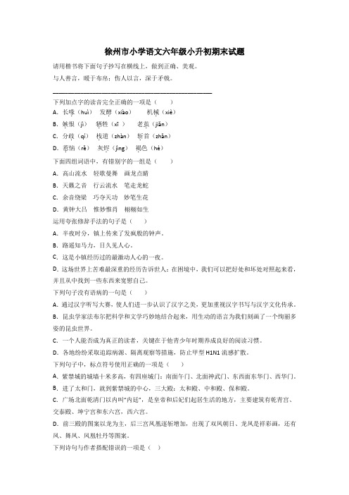 徐州市小学语文六年级小升初期末试题
