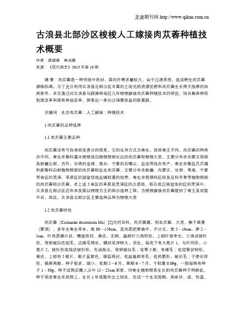 古浪县北部沙区梭梭人工嫁接肉苁蓉种植技术概要