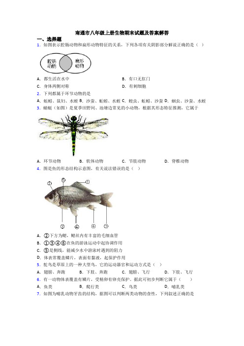 南通市八年级上册生物期末试题及答案解答