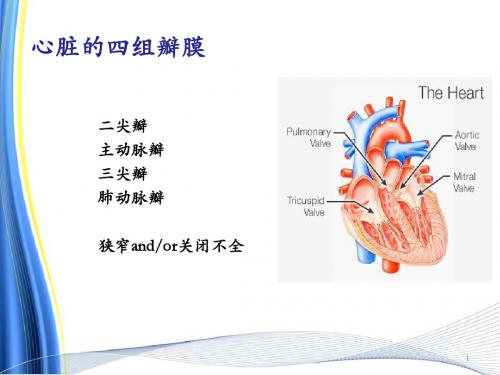 心脏瓣膜病的麻醉