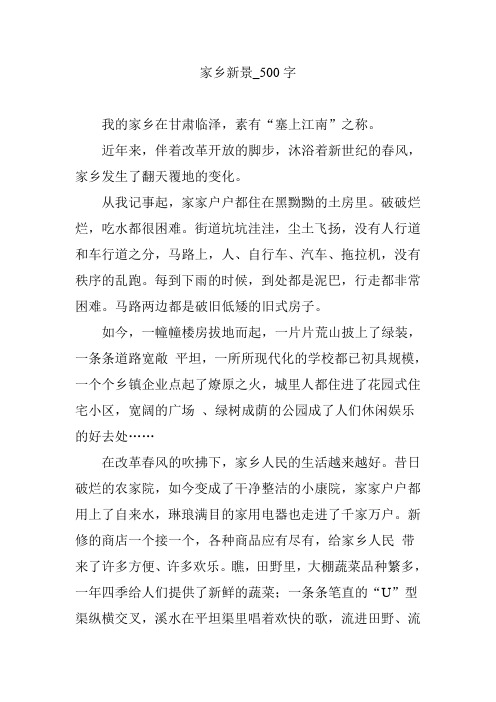 家乡新景_500字