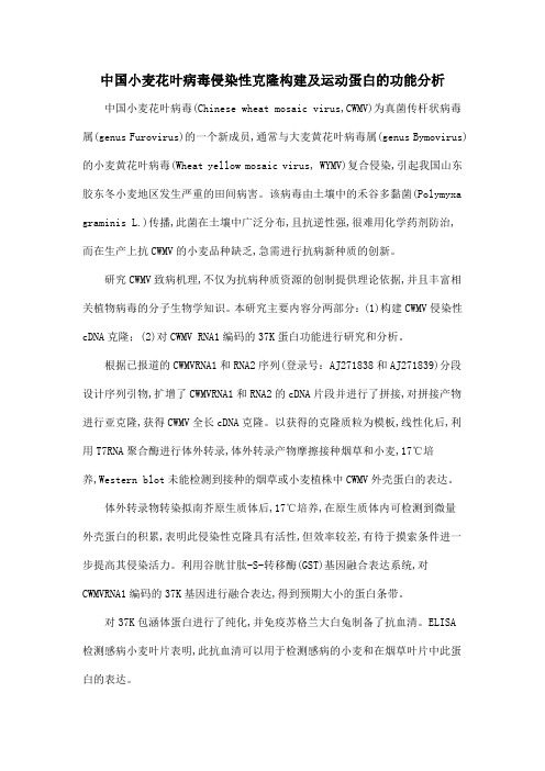 中国小麦花叶病毒侵染性克隆构建及运动蛋白的功能分析