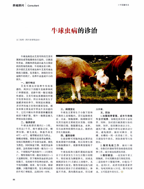 牛球虫病的诊治