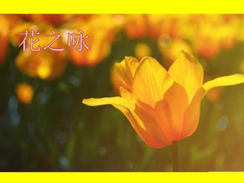 北师大版小学四年级语文下册《花之咏》观摩课示范课公开课优质课赛教课精品课件PPT