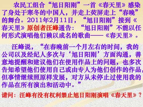 无形的财产公开课课件
