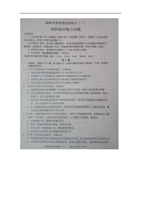 山东省烟台市高三理综适应性练习试题(一)(扫描版)(1)