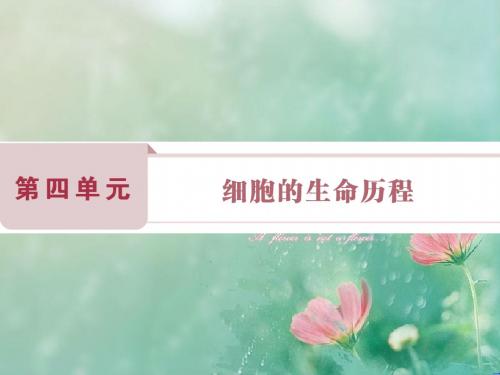 《卓越学案》2018-2019高考生物总复习课件：第4单元 细胞的生命历程 第11讲
