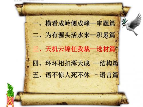 作文《如何选材》