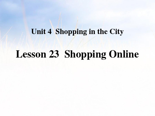 《Shopping Online》Shopping in the City PPT教学课件