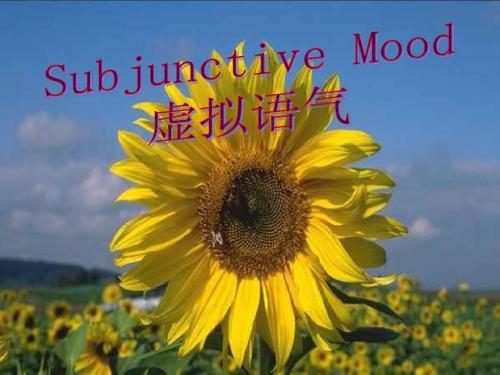 中考英语专题复习：虚拟语气讲解课件2