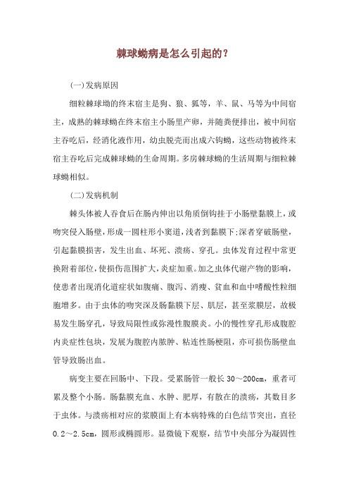 棘球蚴病是怎么引起的？
