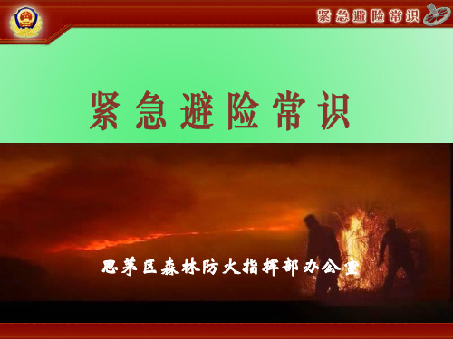 避险课件