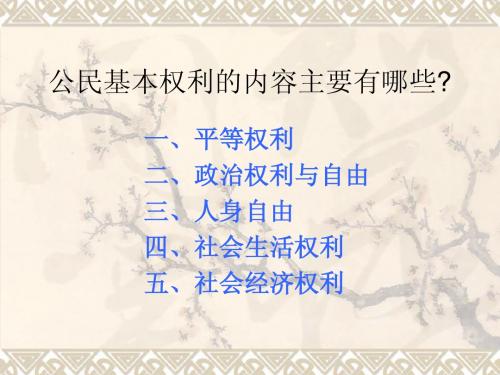 6.1维护人身权利