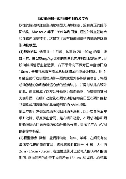 脑动静脉畸形动物模型制作及步骤