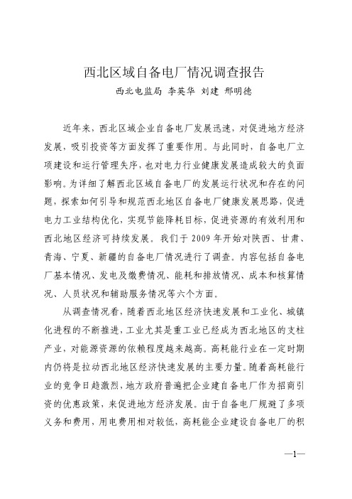 西北区域自备电厂情况调查报告