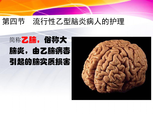 乙脑)