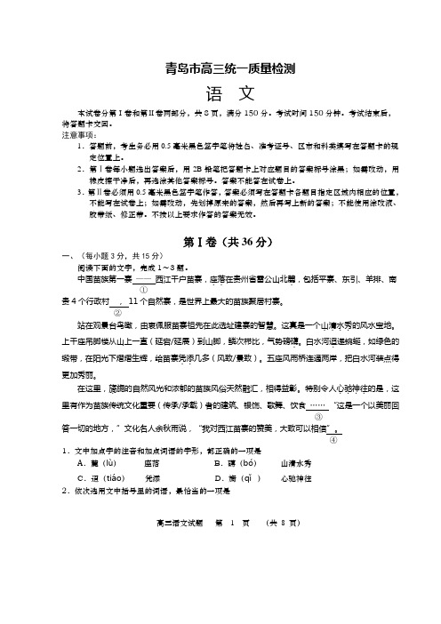 2017年青岛市高三统一质量检测