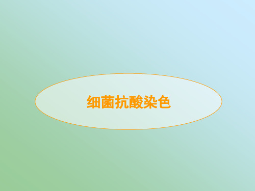 细菌抗酸染色