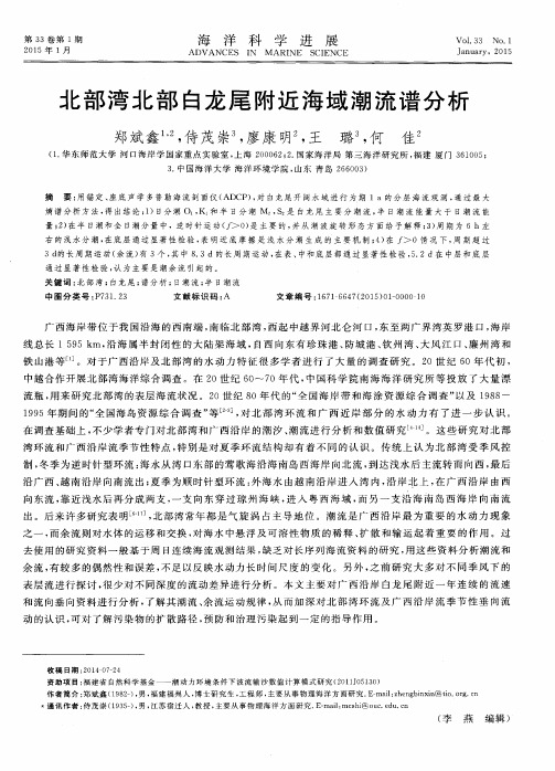 北部湾北部白龙尾附近海域潮流谱分析