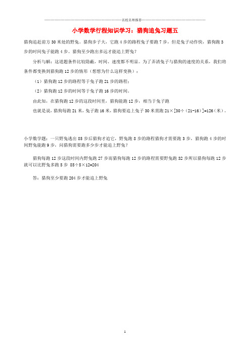 小学数学 行程知识学习 猎狗追兔名师精编习题五