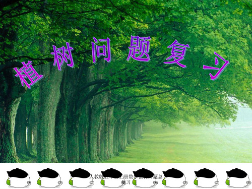 人教版五年级上册数学植树问题总复习【精品PPT】