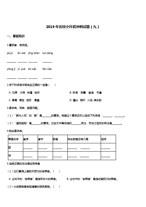 2019年名校小升初冲刺语文试题(9) 全国通用 含答案