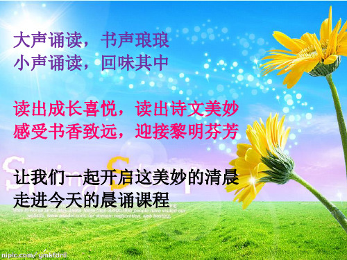 五年级语文晨诵