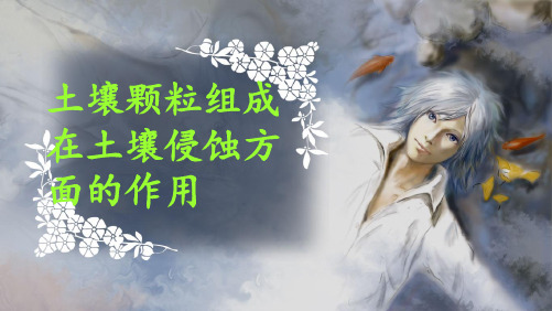 土壤颗粒组成对土壤的影响