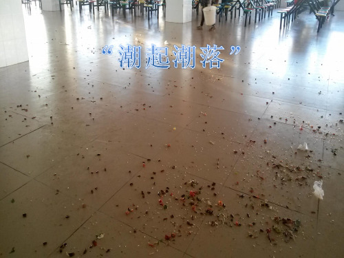 七八年级女生个人卫生、青春期讲座1