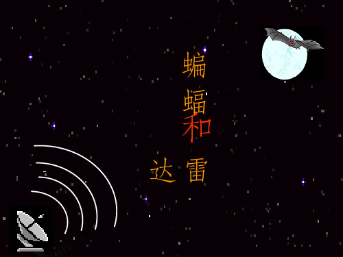 《蝙蝠和雷达》