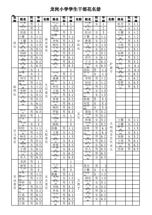 学生干部花名册统计表