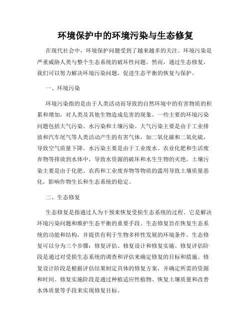 环境保护中的环境污染与生态修复