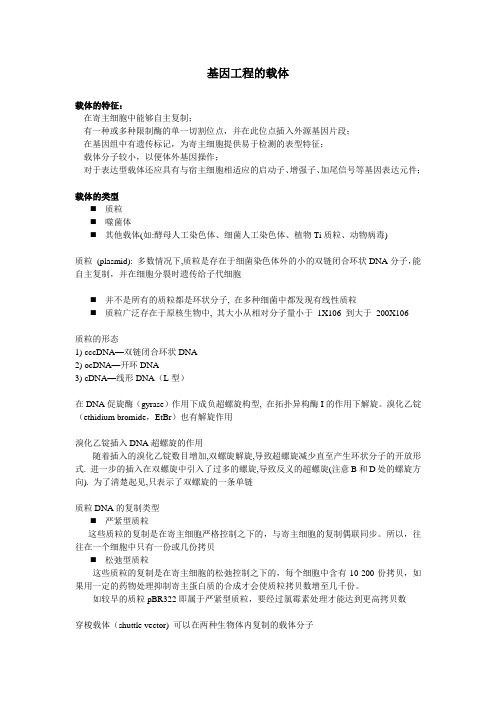 载体