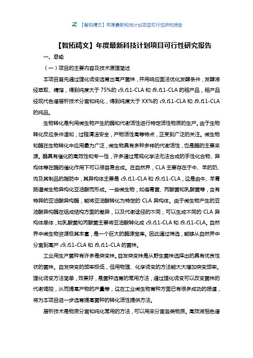 【智拓精文】年度最新科技计划项目可行性研究报告