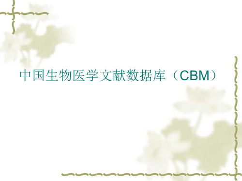 cbm2010