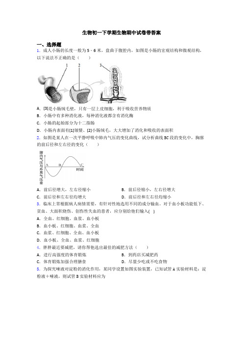 生物初一下学期生物期中试卷带答案