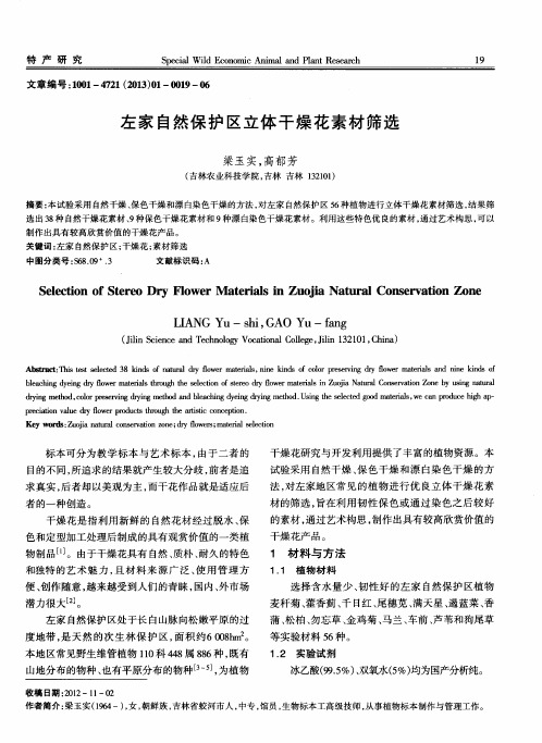 左家自然保护区立体干燥花素材筛选
