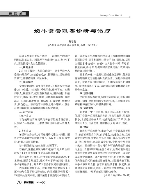 奶牛食管阻塞诊断与治疗