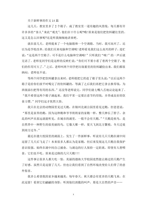 关于新鲜事的作文14篇(精选)