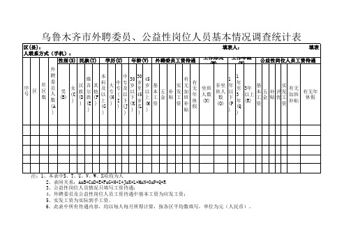 乌鲁木齐市外聘委员、公益性岗位人员基本情况调查统计表%20(1)(1)