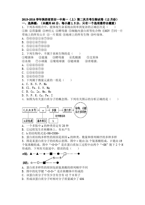 陕西省西安一中2015-2016学年高一上学期第二次月考生物试卷(12月份)Word版含解析