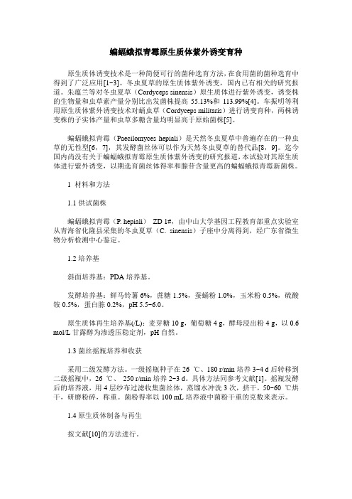 蝙蝠蛾拟青霉原生质体紫外诱变育种