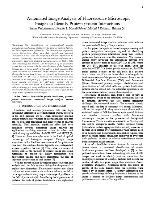 Automated Image Analysis of Fluorescence Microscopic Images to Identify Protein-protein Int