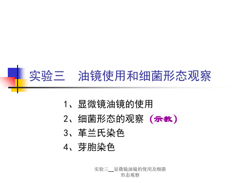 实验三__显微镜油镜的使用及细菌形态观察 ppt课件