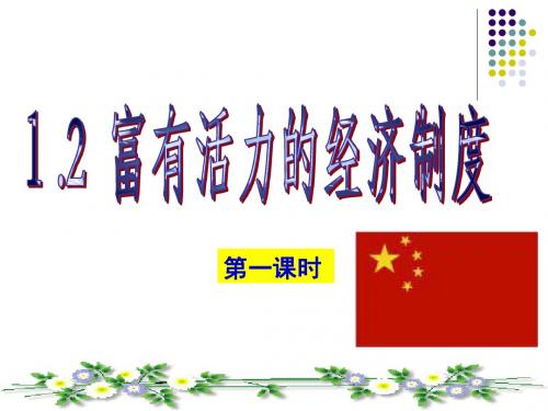 2017秋粤教版九年级思想品德1.2《富有活力的经济制度》课件 (51张PPT)