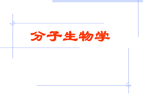 分子生物学导论(ppt)