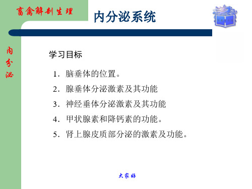 畜禽解剖生理第12章内分泌系统 PPT