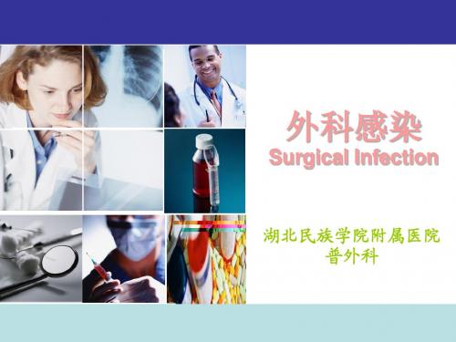 外科感染教学Surgical Infection