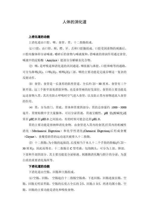人教部编版 科学 三年级 素材：人体的消化道