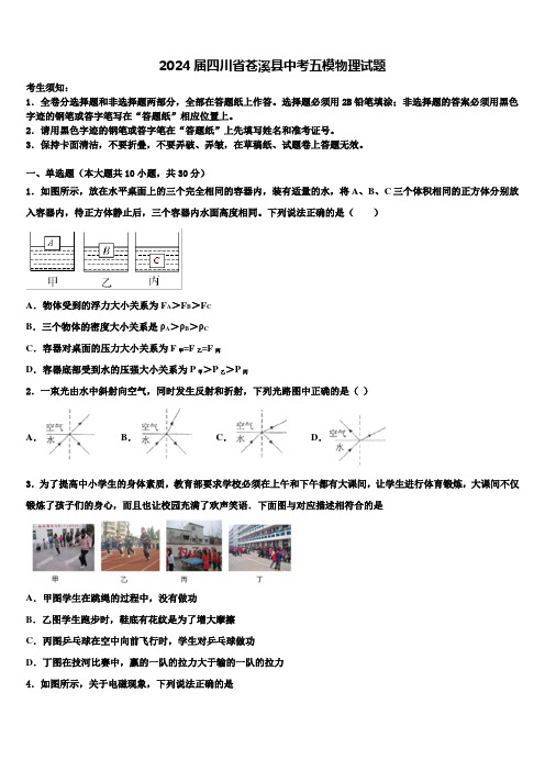 2024届四川省苍溪县中考五模物理试题含解析